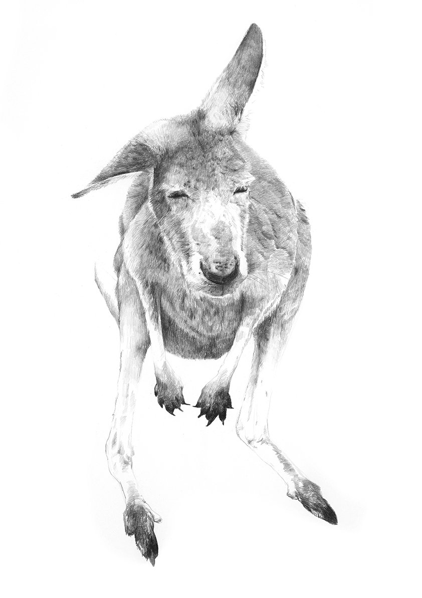 Image of 'GREY 1' Limited Edition Print