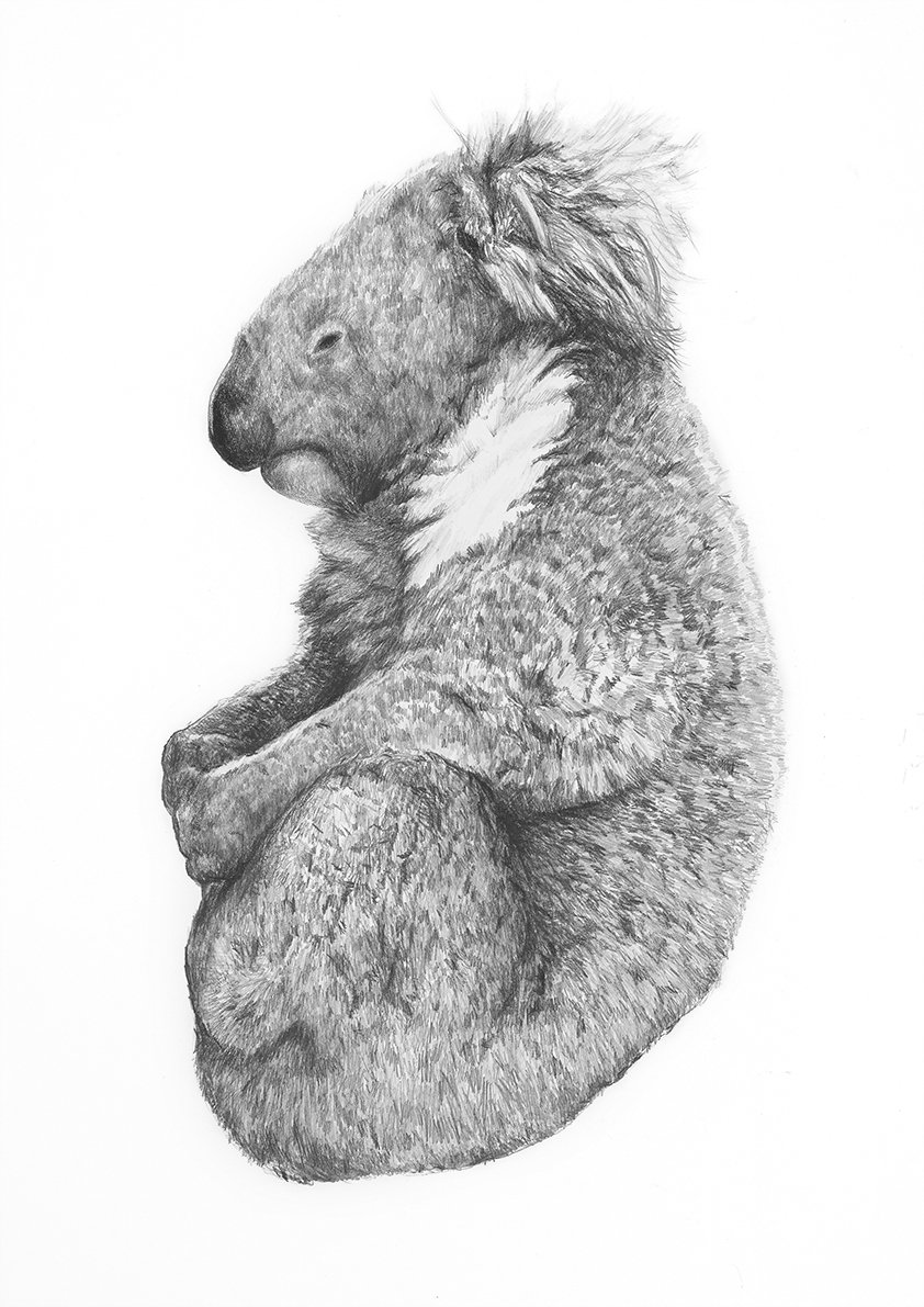 Image of 'MEDITATE' limited edition print