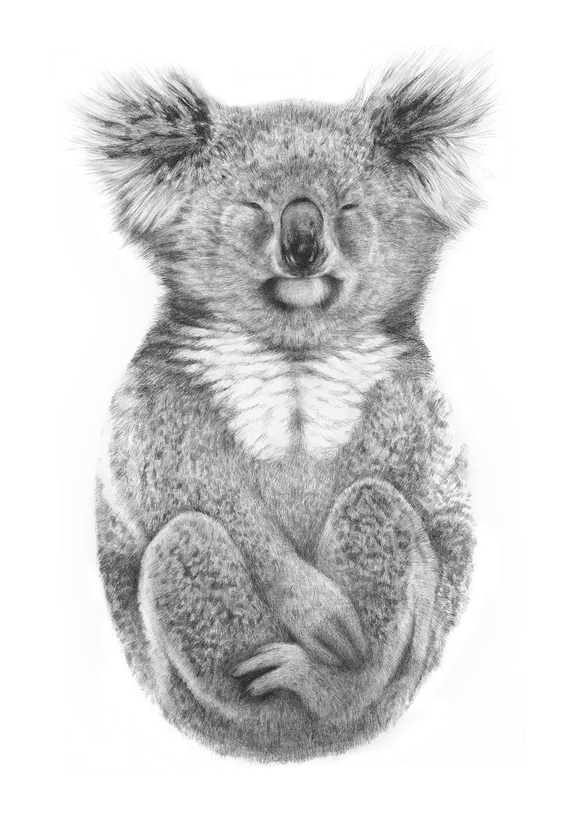 Image of 'THE ALCHEMIST' Limited Edition Print