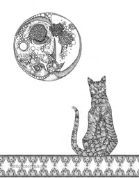 All cats are grey in the dark