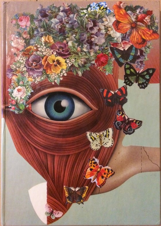 Image of bedelgeuse anatomical collage pop up book