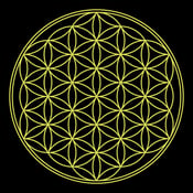 Image of Flower of Life T-shirt