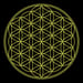 Image of Flower of Life T-shirt