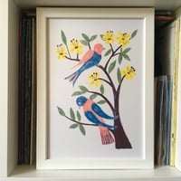 Two Resting Birds Risograph Print