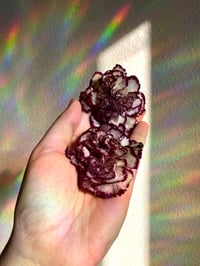 Image 3 of 💜Burgundy Carnation💜 Studs