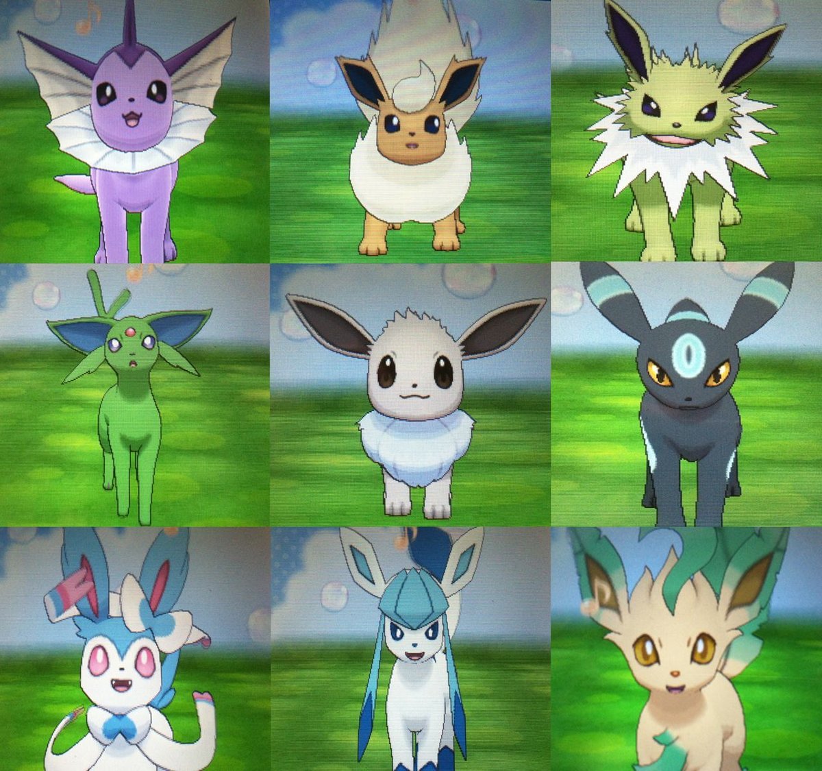 you get all eight shiny evolution pokemon plus a shiny eevee. 