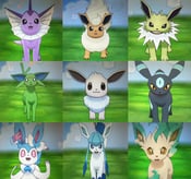 Image of Shiny eevee Bundle - Includes all eeveelutions