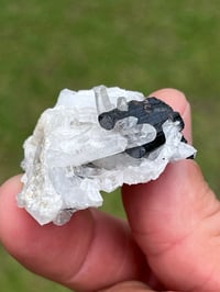 Image 8 of Hübnerite & Fine Quartz Points Specimen | Peru #3060