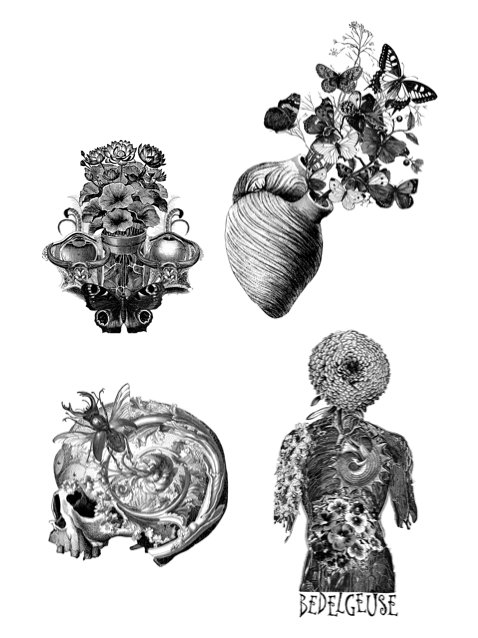 Image of bedelgeuse sticker pack