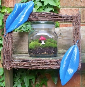 Image of Red Mushroom Moss Terrarium