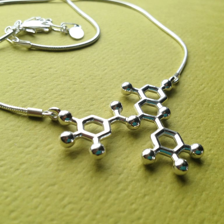 EGCG necklace Image 3