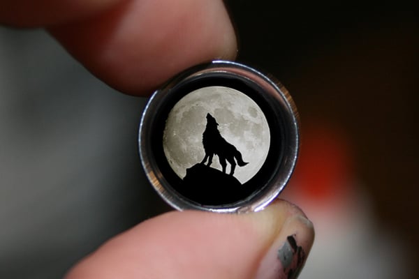 Image of Howling Moon Plugs