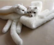 Image of Faux Fur Fox Scarf