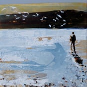 Image of Gull Watching, Daymer Bay, Cornwall