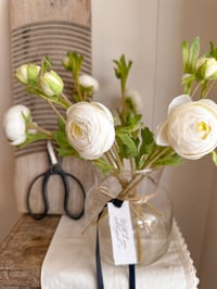 Image 1 of Soft White Luxury Ranunculus Bouquet ( 6 included )