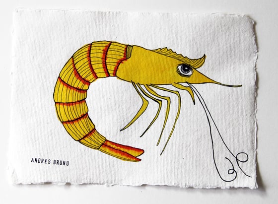 Image of Shrimp Illustration