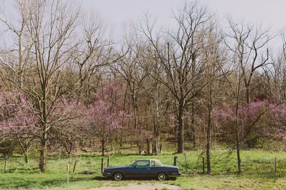 Image of Arkansas No. 1