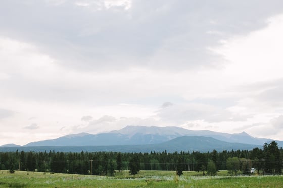 Image of COLORADO NO. 1