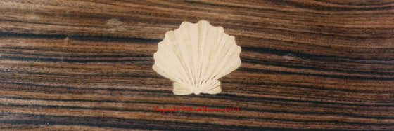 Image of Item No. 395. Oyster Shell Design.