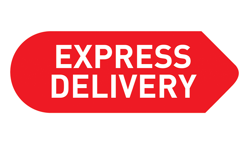 jasa pengiriman barang express 1 hari sampai