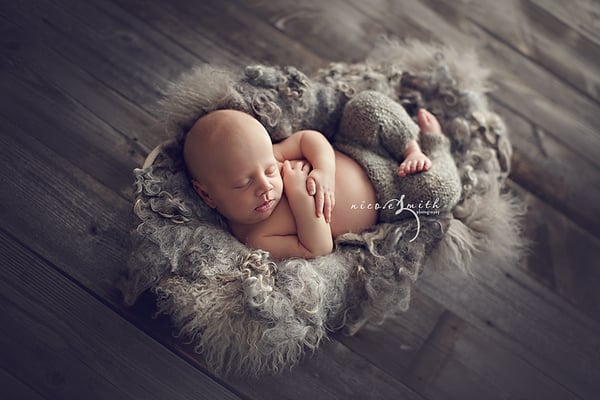 Image of Organic Silver Curly Felted Blanket