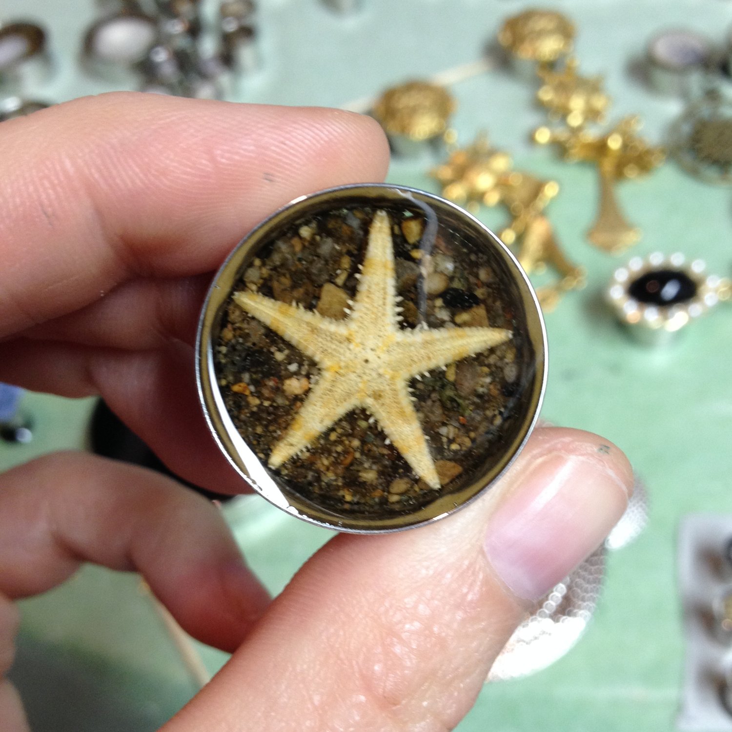 Image of Starfish Plugs (sizes 5/8-2")