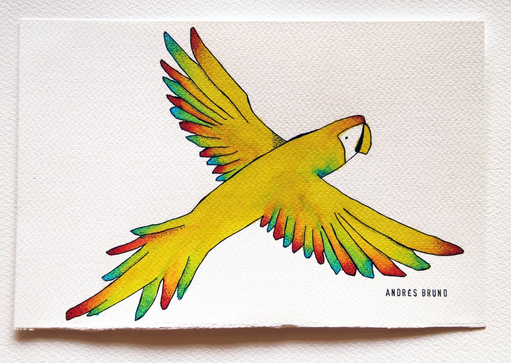Image of Parrot Illustration