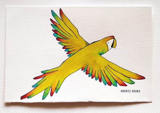 Image of Parrot Illustration