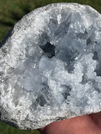 Image 9 of Celestite Geode #1950