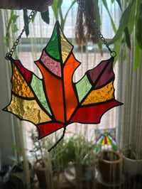 Image 1 of Autumn Leaves 🍁