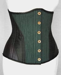 Image 2 of Olive and Coffee Underbust