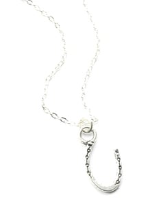 Image of Kool Jewels Lucky Horseshoe Charm Necklace