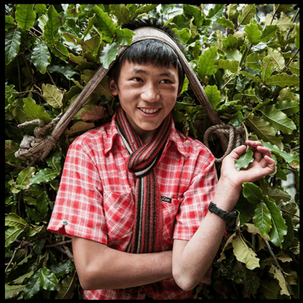 Image of Grayson Schaffer (Gathering Leaves)