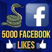 Image of 5000 Facebook Fan Page Likes
