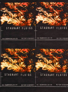 Image of 15 Stagnant Fluids