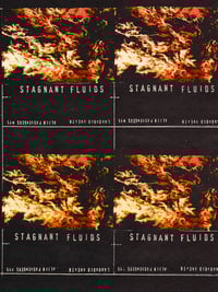 15 Stagnant Fluids