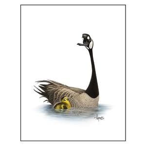 Image of "Like Father, Like Son?" Canada Goose Print