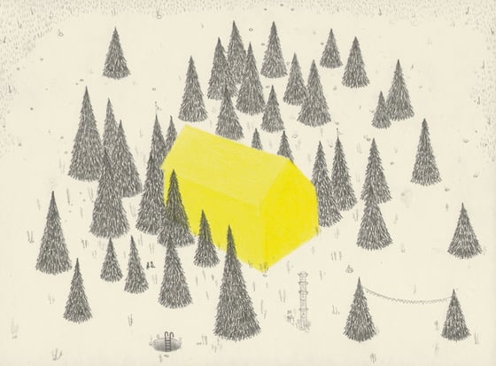 Image of Shelter in the forest