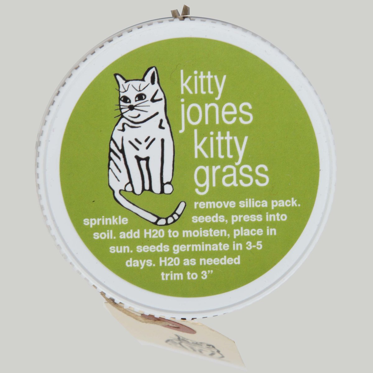 kitty grass kit / Kitty Jones