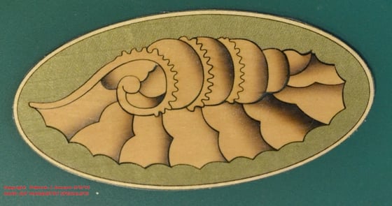 Image of Item No. 251.  Marquetry Shell Inlay Motif