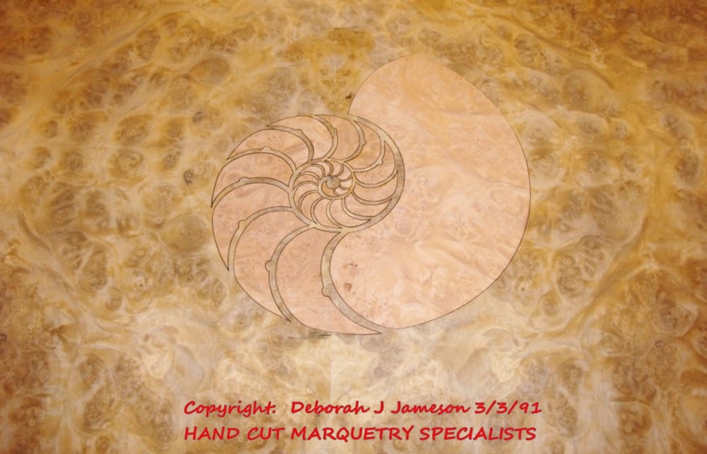 Image of Item No. 26. Beautiful Conche Shell Design Panel