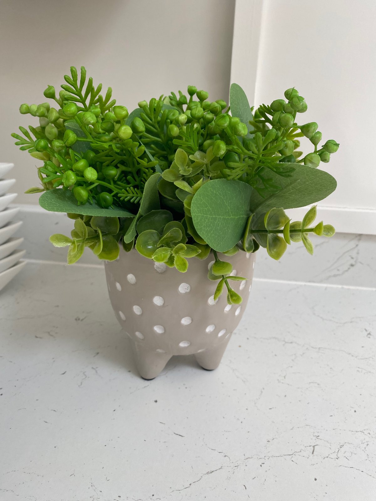 Image of SMALL SPOT ALL GREEN BERRY POT 