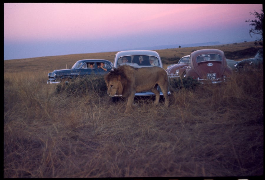 Image of A Car Full Of Nuns; Prey For Us