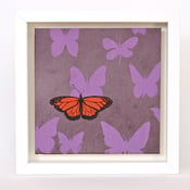 Image of Butterflies on Lilac