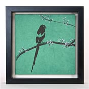 Image of Sweet Magpie on Teal