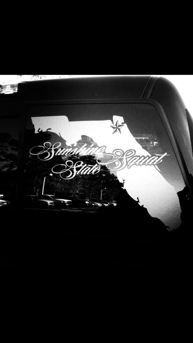 Image of State of florida decal 17x17