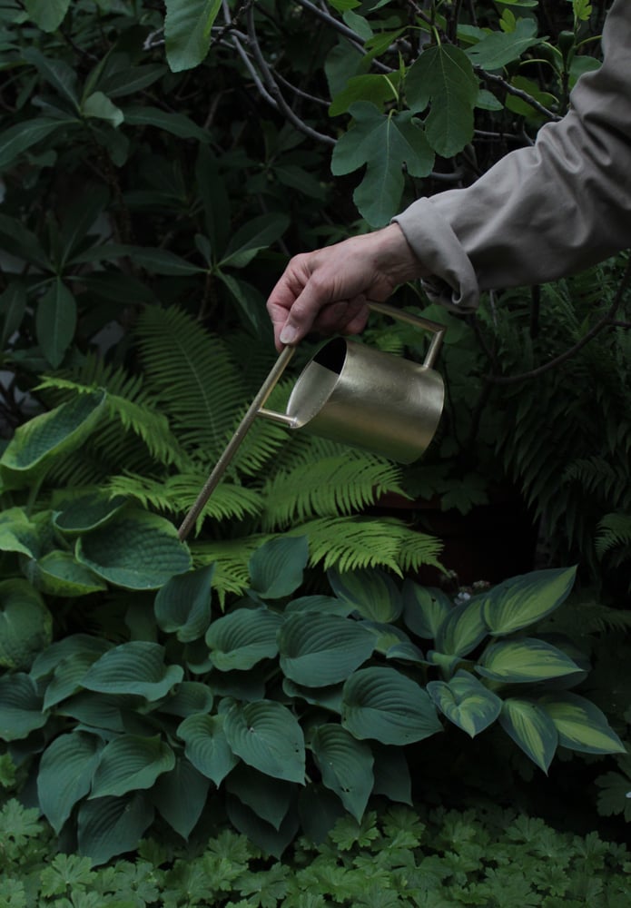 Image of Watering Can