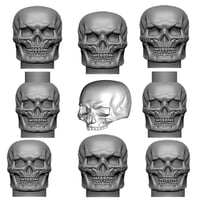 SET of SKULLS! Now Available
