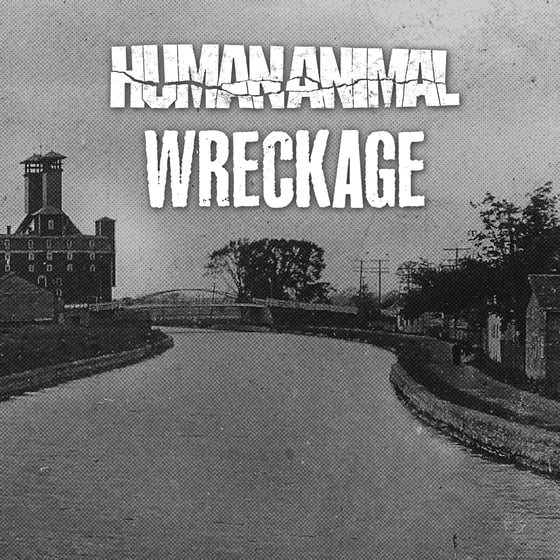 Image of Human Animal / Wreckage - Split 7"