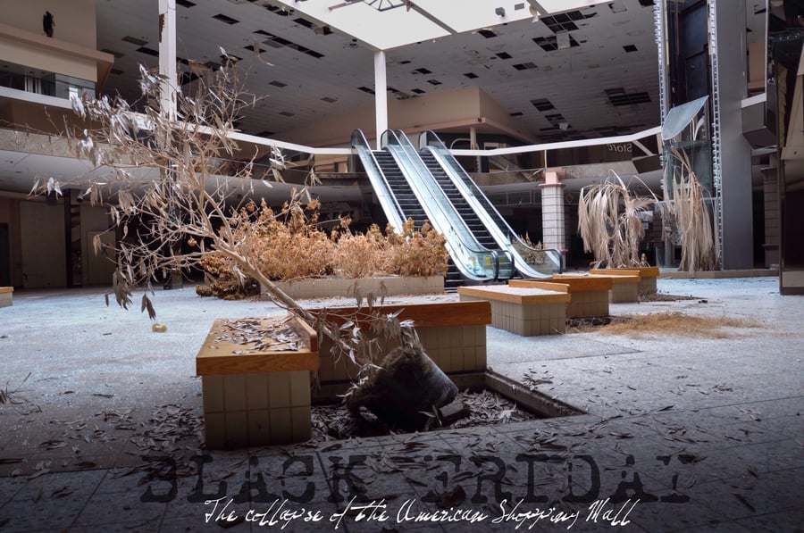 Image of (eBook) Black Friday-The collapse of the American shopping Mall (2014)